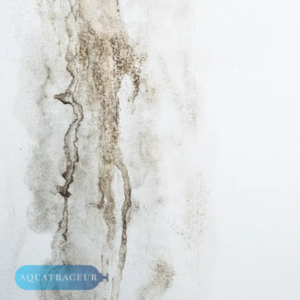 Technicien utilisant une caméra thermique pour détecter une infiltration